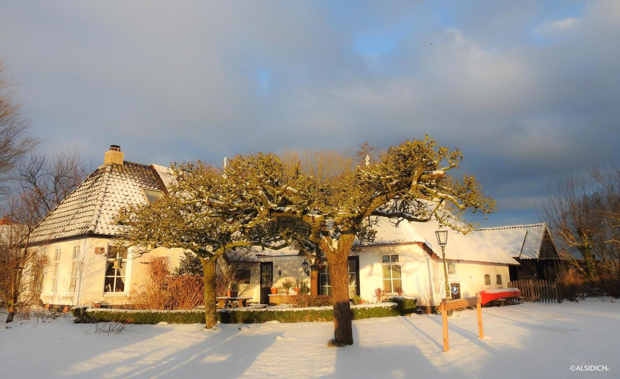 The Wee White Hoose Bed & Breakfast Oosternijkerk Dış mekan fotoğraf